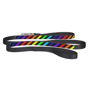 Rainbow Stripes Dog Leash
