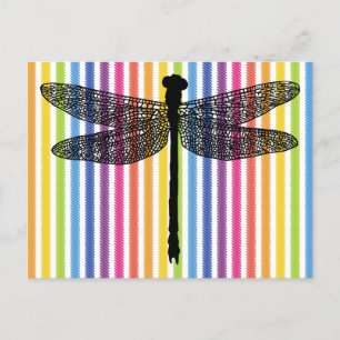 Rainbow stripes dragonfly Bug Insect Silhouette  Postcard