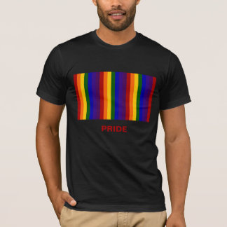 Rainbow Stripes T-Shirt