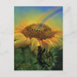 Rainbow Sunflower Art Postcard