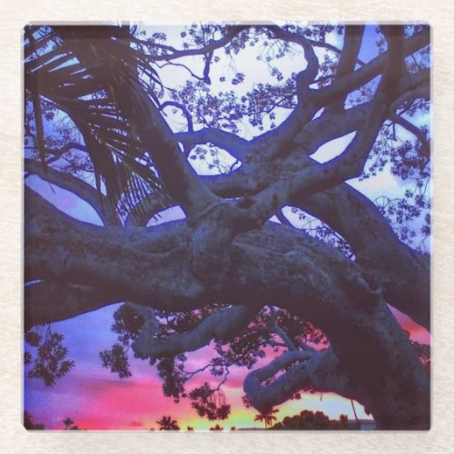 Rainbow Sunset with Tree Silhouette Glass Coaster