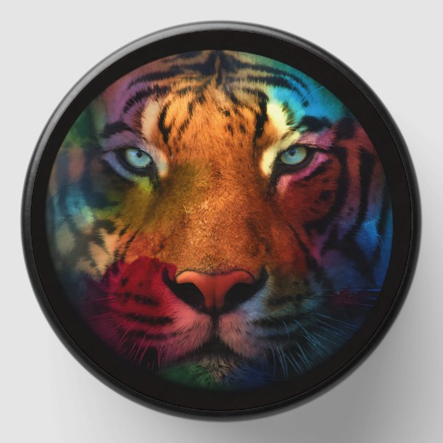 Rainbow Tiger Mini Candle Favors (Front)