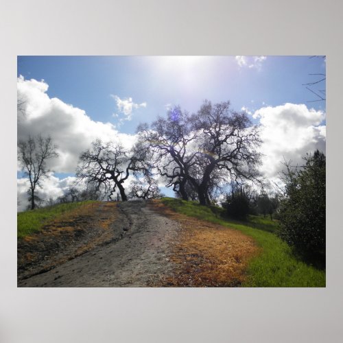 Rainbow Tree Scenic Hiking Nature Photograph Poster