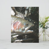 Rainbow trout (Standing Front)