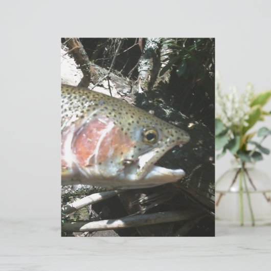 Rainbow trout (Standing Front)