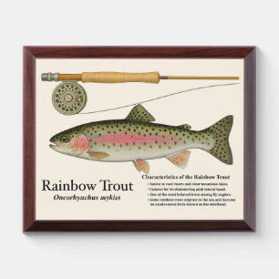 Rainbow Trout Art Print – Wood Plaque Edition