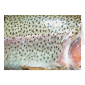 Rainbow trout cards
