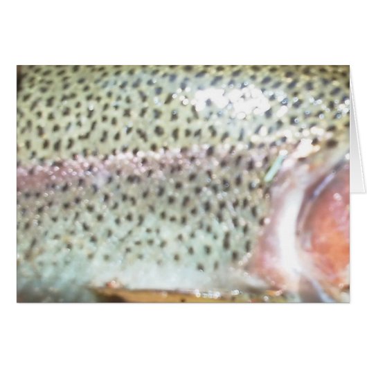 Rainbow trout cards (Front Horizontal)