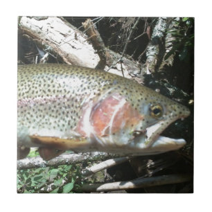 Rainbow trout ceramic tile