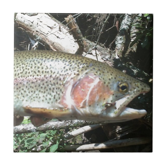 Rainbow trout ceramic tile (Front)