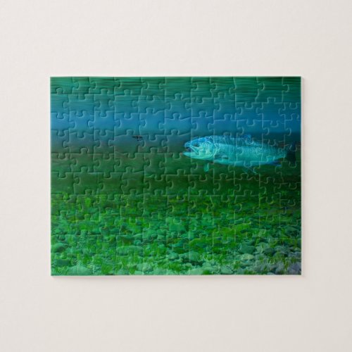 Rainbow Trout chasing a fly Jigsaw Puzzle
