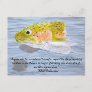Rainbow Trout Colored Pencil and Quote Postcard