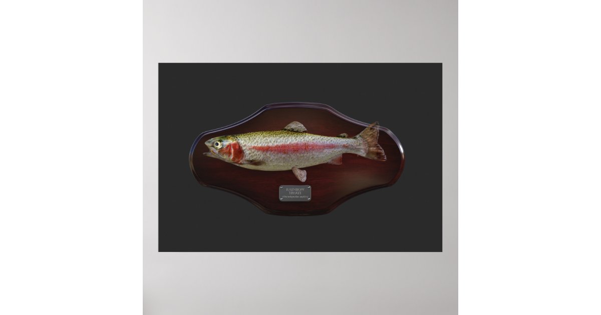 Rainbow Trout Display Plaque Poster | Zazzle