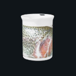 Rainbow trout drink pitcher<br><div class="desc">photo of a rainbow trout taken in Smoky Mountain National Park</div>