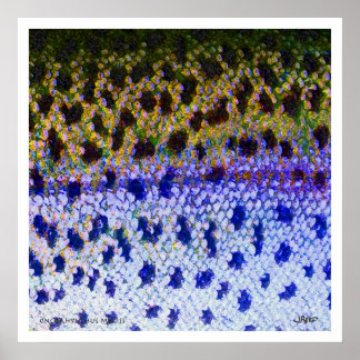 Rainbow Trout FFF Poster