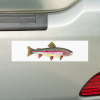 Rainbow Trout Fish Bumper Sticker