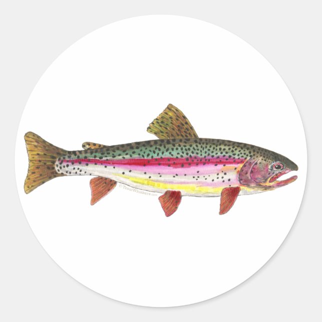 Rainbow Trout Fish Classic Round Sticker (Front)
