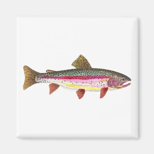 Rainbow Trout Fish Magnet (Front)