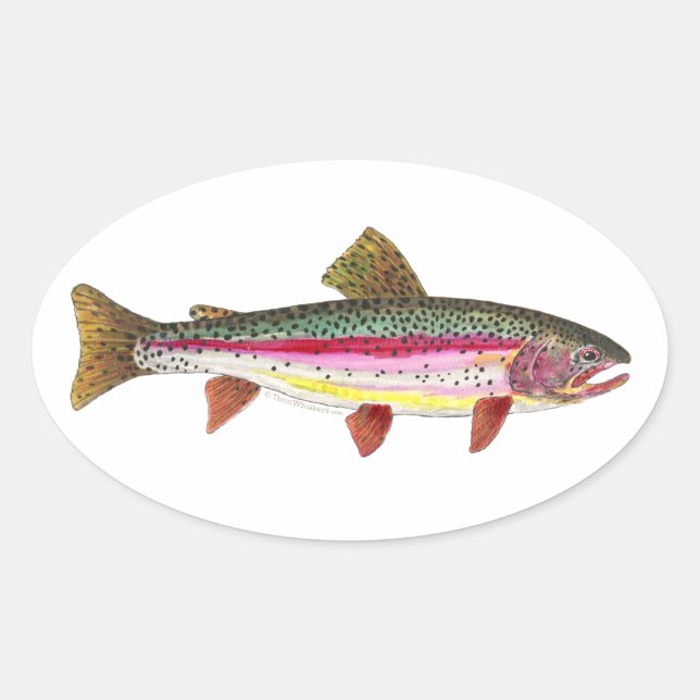 Rainbow Trout Fish Oval Sticker (Front)