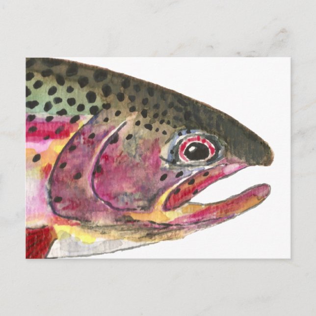 Rainbow Trout Fish Postcard (Front)