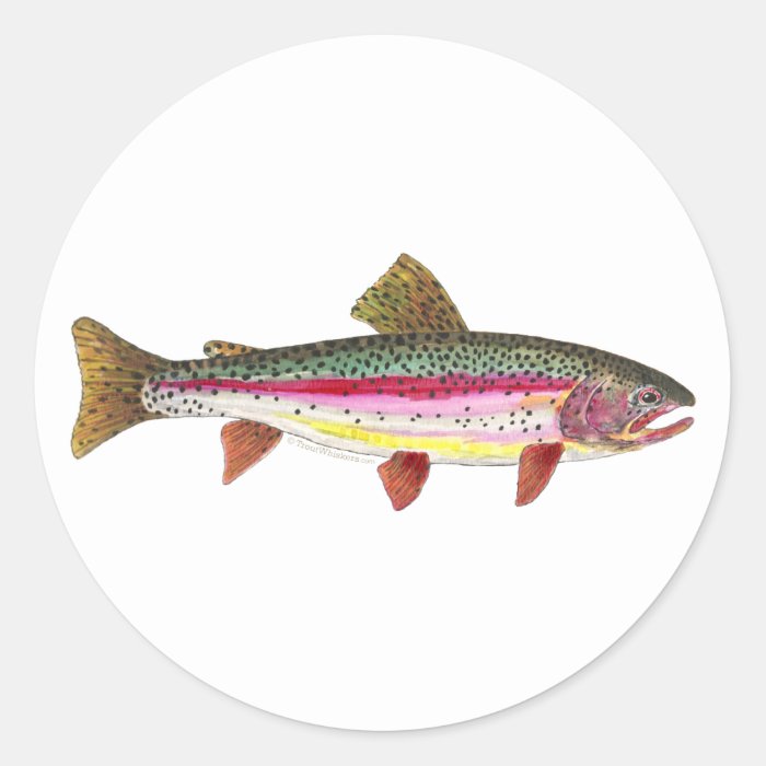 Rainbow Trout Fish Round Sticker