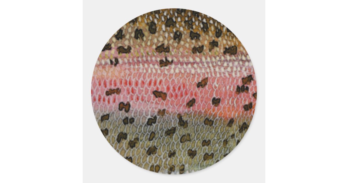 Rainbow Trout Fish Skin Print Classic Round Sticker Zazzle Com