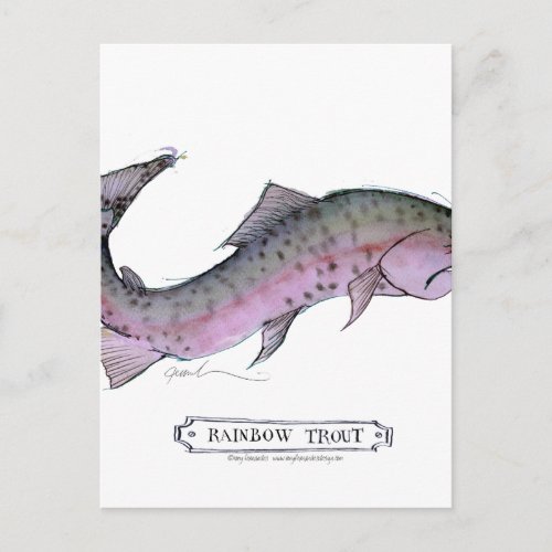 Rainbow Trout fish tony fernandes Postcard