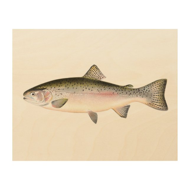 Rainbow Trout Fish Wood Wall Decor (Front)