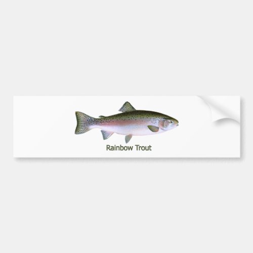 Rainbow Trout Fishing  Logo Bumper Sticker