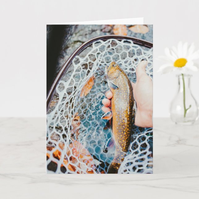 Rainbow Trout Fishing Photo Card (Small Plant)