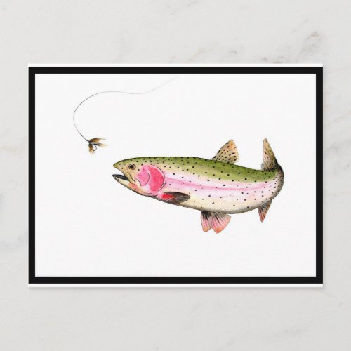 Rainbow Trout Fly Fishing Postcard