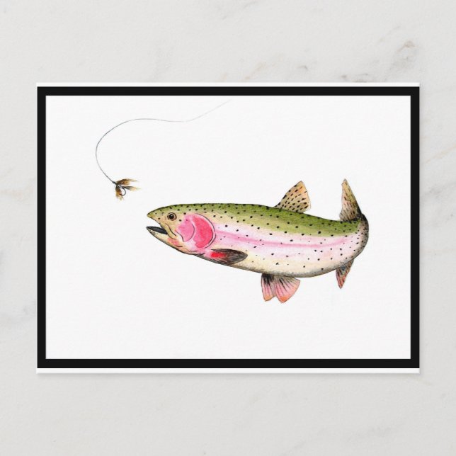 Rainbow Trout Fly Fishing Postcard (Front)