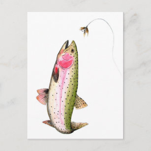Rainbow Trout Fly Fishing Postcard