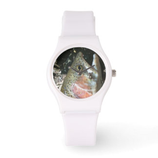 Rainbow trout, fly fishing watch