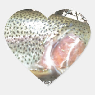 Rainbow trout heart sticker