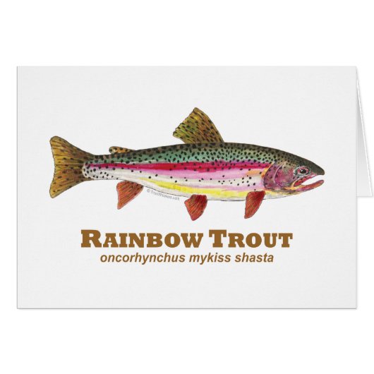 Rainbow Trout Latin Cards (Front Horizontal)