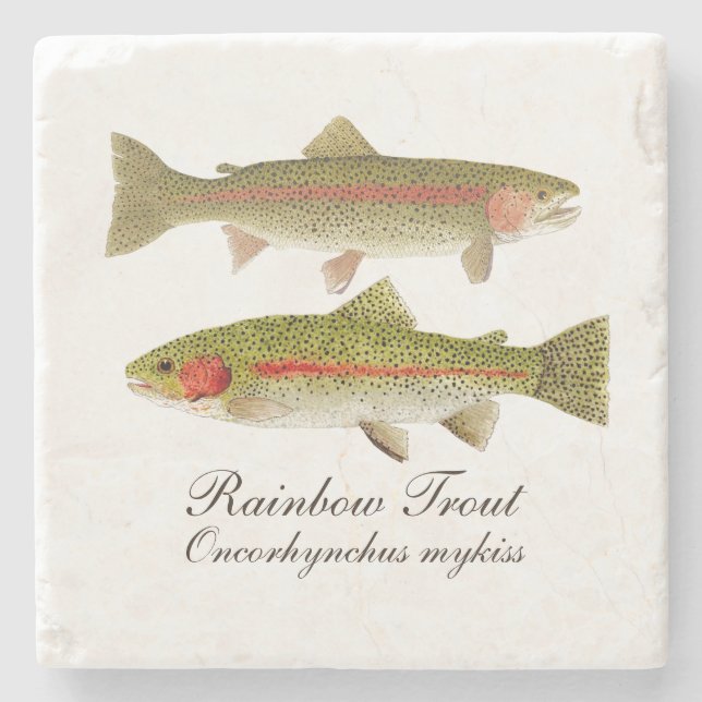Rainbow Trout Marble Coaster (Front)