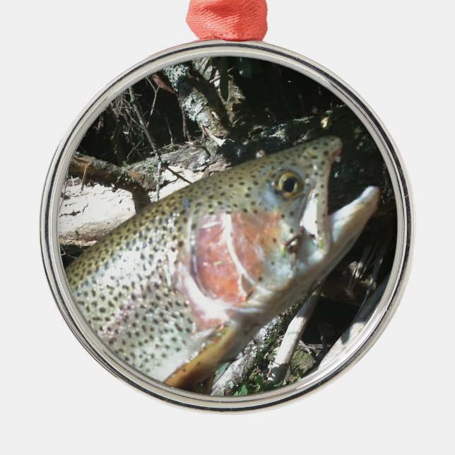 Rainbow trout metal ornament (Front)