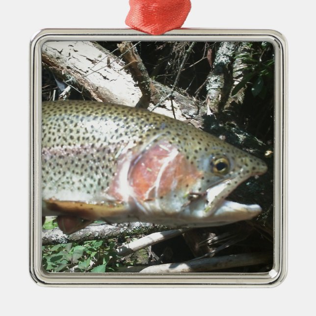 Rainbow trout metal ornament (Front)