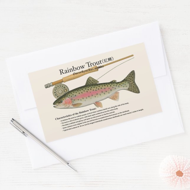 Rainbow Trout (Oncorhynchus mykiss) – English Rect Rectangular Sticker (Envelope)