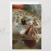 Rainbow Trout photo (Front/Back)