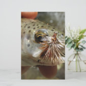 Rainbow Trout photo (Standing Front)