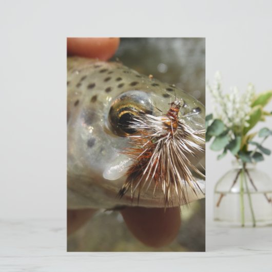 Rainbow Trout photo (Standing Front)