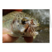 Rainbow Trout photo (Front Horizontal)