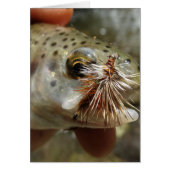 Rainbow Trout photo (Front)