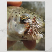 Rainbow Trout photo (Front)