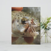 Rainbow Trout photo (Standing Front)