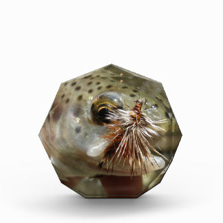 Rainbow Trout photo Acrylic Award