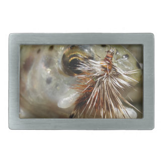 Rainbow Trout photo Belt Buckle