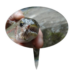 Rainbow Trout photo Cake Topper